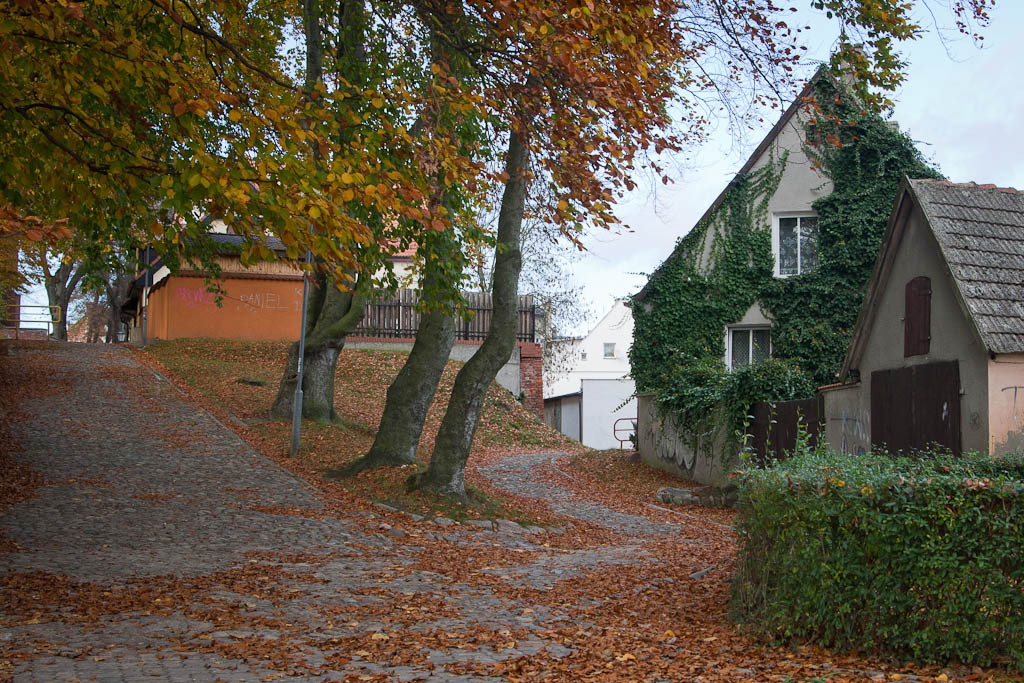 Wałcz - house and trees